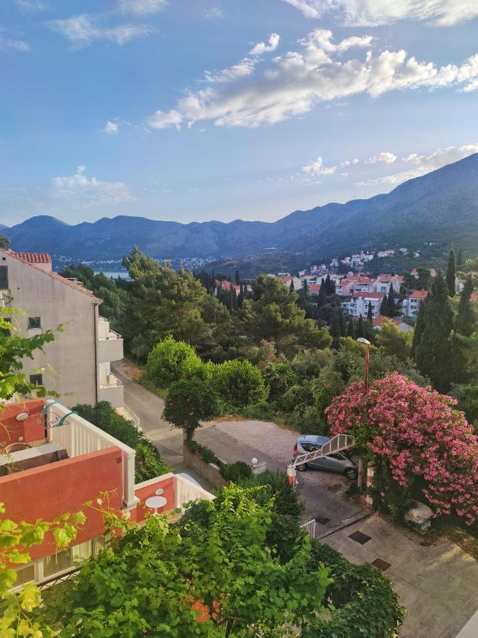 Villa Kipre Cavtat Eksteriør billede