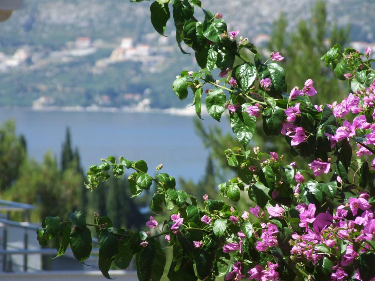 Villa Kipre Cavtat Eksteriør billede